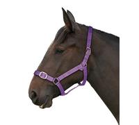 Gallop Basic Nylon Headcollar and Lead Rope Set, Full Size, Purple