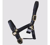Gallop Economy Leather Padded Headcollar, Cob Size, Black