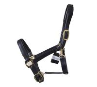 Gallop Economy Leather Padded Headcollar, Full Size, Black