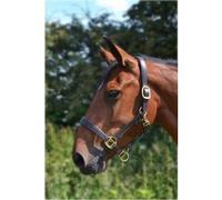 Gallop Economy Leather Padded Headcollar, Full Size, Brown
