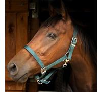 Gallop Equestrian Padded Headcollar Burgundy Pony