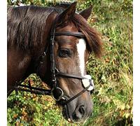 Gallop Grackle Bridle Full Brown