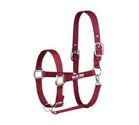 Gallop Horse Masters Best On Horse Equestrian Padded Adjustable Plain Headcollar (Maroon, Full)