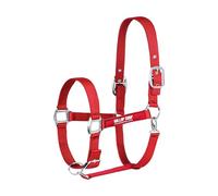 Gallop Horse Masters Best On Horse Equestrian Padded Adjustable Plain Headcollar (Red, Cob)
