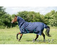 Gallop Trojan 600d Combo Neck 350g Turnout Rug 6'3" (EU140cm)