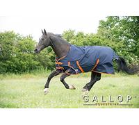 Gallop Trojan 600d Standard Neck 100g Turnout Rug 6'6" (EU 145cm)
