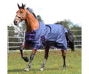 Gallop Trojan 600d Standard Neck No-fill Turnout Rug 4'6" (EU 90cm)