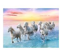 Galloping White Horses
