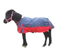 Gallopoff 1200D Pony/Shetty Horse Blanket without Filling (0 g), Lightweight, Waterproof, Breathable and Tear-Resistant Rain Cover for Foals, Mini Horses, Dwarf Horses, Small Horses and Mini Ponies