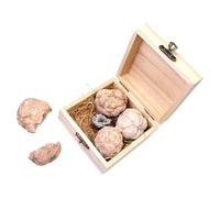 GALPADA 1 Box Gem Dig Kit for Educational Geology Mining with Real Gemstones and Crystal Spheres Rock Collection Specimen Box for Birthday Gifts and Science Learning