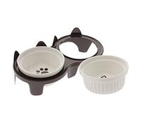 GALPADA 1 Set Elevated Ceramic Cat Bowl with Slip Stand Convenient Feeding Bowls for Kittens and Cats Smooth Surface for Easy Cleaning Tilted Design to Prevent Spills for Indoor Use