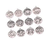 GALPADA 1 Set Zodiac Sign Pendant Set Retro Bronze Alloy Charms for DIY Jewelry Making for Necklaces Earrings Unique Coin Design for Friends Loved Ones