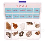GALPADA 10Pcs Natural Rock Specimen Set for Geology Classroom Teaching, Mineral Stone Kit with 10 Types of Rocks, Educational Science Specimens for Primary School Use and Desktop
