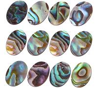 GALPADA 12Pcs Abalone Shell Cabochons Jewelry Making Charms Natural Material Beads for DIY Necklaces Earrings Unique Color Patterns Durable Safe Craft Accessories