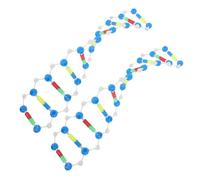 GALPADA 2pcs Dna Double Helix Structure Model Kit for Science Teaching and Laboratory Research Accurate Prop for Biology Classes Educational Tool for Secondary and Postsecondary Students