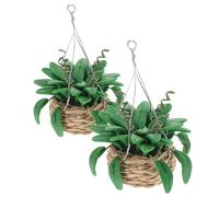GALPADA 2Pcs Miniature Potted Plants Tiny Bonsai Figurine for Dollhouse Decor Lifelike Greenery for Fairy Garden Versatile Hanging Plant Pot Model Enhance Your Dollhouse Ambiance