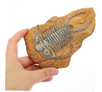 GALPADA 2Pcs Simulation Resin Fossil Reptile Box Ornaments Natural Terrarium Decors for Lizards Geckos Spiders Hamsters Stable Non-tip Pet Habitat Accessories