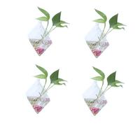 GALPADA 4 pcs Creative Rhombus Glass Flower Vases Wall-mounted Home Decor Glass Containers for Indoor Plants and Flowers