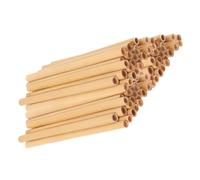 GALPADA 50Pcs Natural Reed Bee Tubes for Beekeepers Replacement Bee House Tubes Lightweight and Easy to Install for Garden Pollination and Outdoor Use