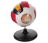 GALPADA 6Times Eyeball Anatomy Model Enlarged Human Eye Model for Teaching Students Detachable Anatomy Tool for Exploring Internal Structure for Biology Classes