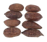 GALPADA 8Pcs Natural Dried Fruit Parrot Chew for Birds, Nut-Shaped Foraging for Pet Parrots, Healthy Bird Entertainment and Beak Grinding Activity