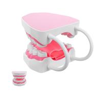 GALPADA Adult Dental Hygiene Tooth Model for Teeth Study Prop with PVC Material and Easy to Clean Surface, Portable Design for Varied Learning Environments and Home Use