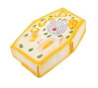 GALPADA Anatomical Plant Cell Model Enlarged Microstructure Teaching Tool for Classroom and Office Use Detailed Biology Educational Model for Middle School Science Lessons Easy Assembly