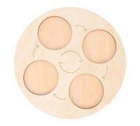 GALPADA Animal Growth Cycle Educational Plate for Preschool Early Learning Life Cycle Model with Four Stages Teaching Tool for Boys and Exploring Nature and Biology