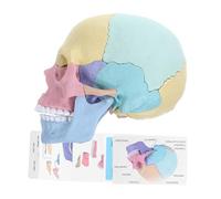 GALPADA Assembly Human Anatomy Skull Model Detachable Human Skull Puzzle for Interactive Learning Tool for Anatomy Art Education Enhance Understanding of