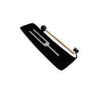 GALPADA C512 Tuning Fork, Aluminium Alloy Clinical Grade, with Silicone Hammer and Carry Bag for Hearing Evaluation, Audio Testing, Students Science Curriculum