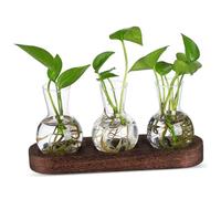 GALPADA Clear Glass Hydroponic Plant Terrarium Kit with Base Desktop Planter Vase for Flower Propagation and Tabletop Greenery Display Transparent Bottles for Root Growth Monitoring