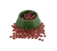 GALPADA Dollhouse Miniature Dog Food Plates Tiny Pet Food Dishes for Pretend Play Realistic Design Educational for Green Accessory for Dollhouse Pet Areas