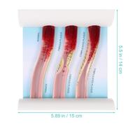 GALPADA Dynamic Blood Vessel Model Plastic Anatomical Teaching Model Medical Vascular Simulation for Science Education and Clinical Training