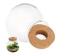 GALPADA Glass Hydroponic Vases Water Planting Terrarium for Windowsill 4.32x4.32x3.93in Glass and Wood Creative Delicate Centerpiece to Maintain Small Flowers and Plants