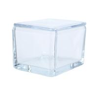 GALPADA Glass Slide Staining Container for Laboratory Use, Leakproof Glass Jar Holds to 20 Microscope Slides with High Transparency for Cytology and Pathology Staining