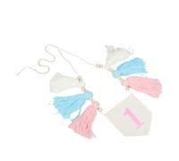 GALPADA Handmade Boho High Chair Banner for Birthday First Birthday Decor with Wooden Beads and Tassels Easy Installation Stylish Pastel Rainbow Shower Decorations
