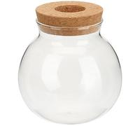 GALPADA Hydroponic Plant Propagation Station Glass Vase for Water Planting Desktop Hydroponic Planter Drainage and Saucers for Indoor Plants and Terrarium Display