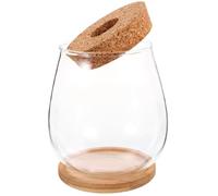 GALPADA Micro Landscape Ecological Bottle Glass Terrarium with Transparent Design for Hydroponic Plants Multi-functional Home Decoration Vase for Indoor Garden Bedroom Office and Balcony