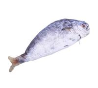 GALPADA Novelty Fish Shaped Pen Bag Cute Fish Pencil Case for Office Use Zipper Closure