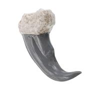 GALPADA Realistic Black Resin Bear Claw Prop for Home Décor and Collectors, Versatile Decoration Vintage Artistic Style, for Science Education and Enthusiasts