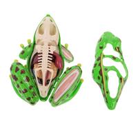 GALPADA Realistic Frog Anatomy Model Dissection Kit for Classroom and Homeschool Biology Lessons Reusable Educational Science with Detailed Body Parts for Interactive Learning