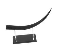 GALPADA Realistic Large Eyelash Model for Extension Training Practice Mannequin for Beauty Schools and Personal Use Reusable Salon Lash Display Ornament