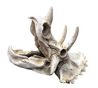GALPADA Simulated Dinosaur Skull Aquarium Ornament Resin Fish Tank Decoration Underwater Hideout Shelter Unique Reptile Cave for Shrimp and Aquatic Pets