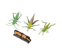GALPADA Simulation Growth Cycle Model for Biological Cognition Plastic Insect Kit for Learning and Play Realistic Life Cycle Educational Figurines