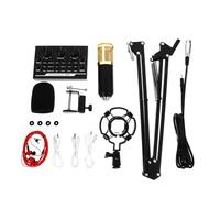 GALPADA Singing Microphone Kit Metal Build 11 Pcs with Condenser Microphones and Adjustable Cantilever Bracket and Sponge Accessories for Live Streaming and Game Voice Use