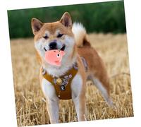 GALPADA Squeaky Pig Head Dog Durable Chew Ball for Puppies Interactive Stress Relief Non Toxic Material Helps Prevent Furniture Damage and Supports Dental Health