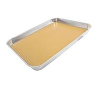 GALPADA Stainless Steel Dissecting Tray with Wax Base for Biology Labs Suitable for Junior and Senior High School Anatomy Lessons and Specimen Examination