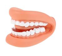 GALPADA Standard Human Teeth Model for Teaching Health Tooth Model for Education and Dentist Communication Multi Functional Toothbrush Training Aid