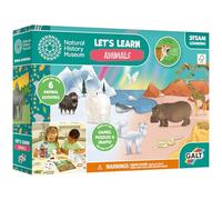 Galt Animals Arts & Crafts Kit for Kids - Activity Pack, 6 Projects & Fact Cards - Fun Educational Crafting Set - Children's STEAM Learning Games & Puzzles, Age 4 Years Plus - Natural History Museum