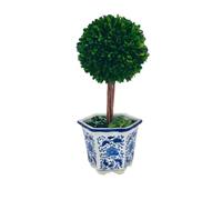 Galt International Preserved Boxwood Topiary Tree in Ceramic Pot Plant and Table Centerpiece Stunning Greenery and Plant Decor for Home Blue & White Ceramic Pot 5.9" Diameter Topiary 14" Tall